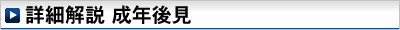 詳細解説　成年後見